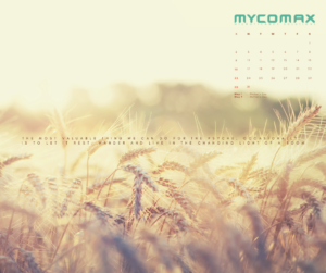 Desktop May 2021